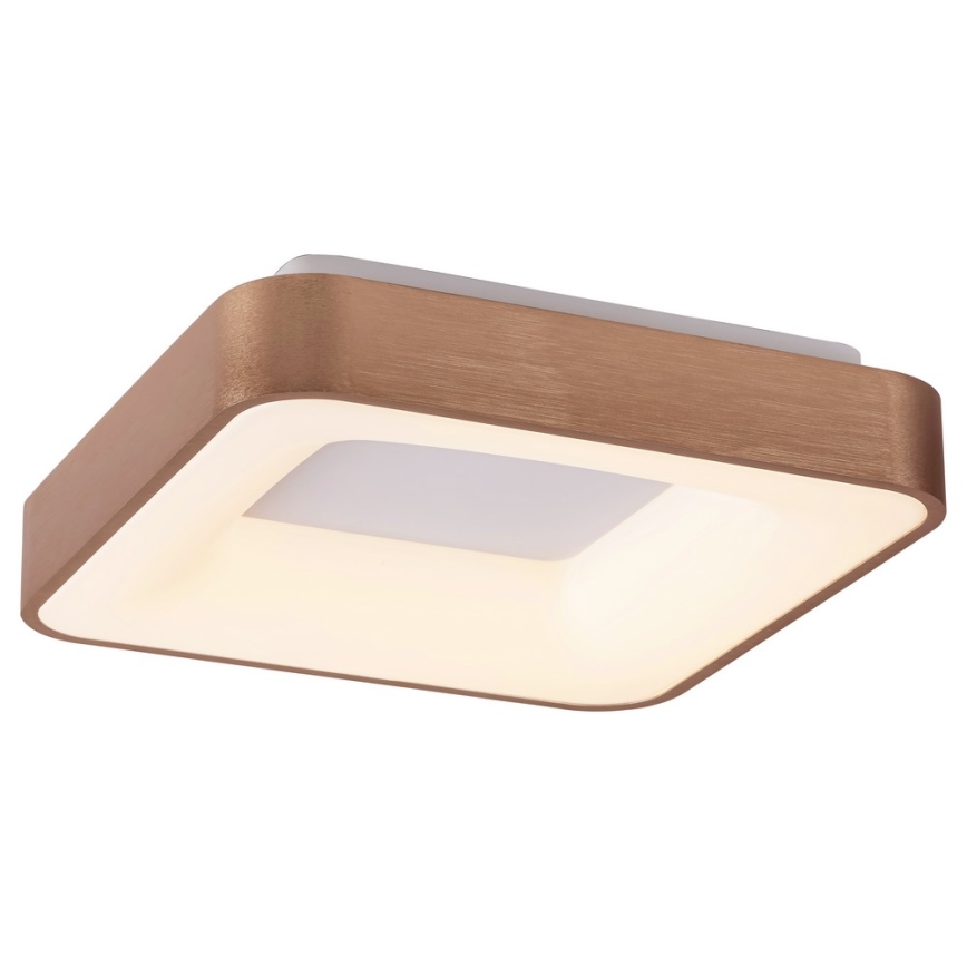 Rabalux - LED Mennyezeti lámpa CARMELA LED/30W/230V 40x40 cm