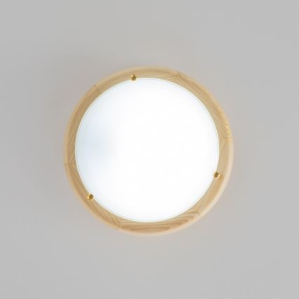 Rabalux - Mennyezeti lámpa 1xE27/60W/230V átm. 30 cm