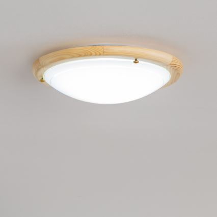 Rabalux - Mennyezeti lámpa 1xE27/60W/230V átm. 30 cm