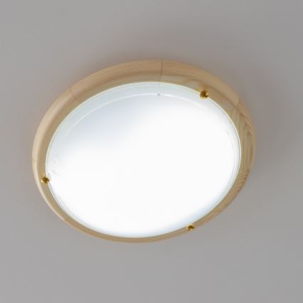 Rabalux - Mennyezeti lámpa 1xE27/60W/230V átm. 30 cm