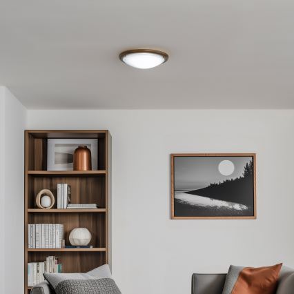 Rabalux - Mennyezeti lámpa 1xE27/60W/230V átm. 30 cm