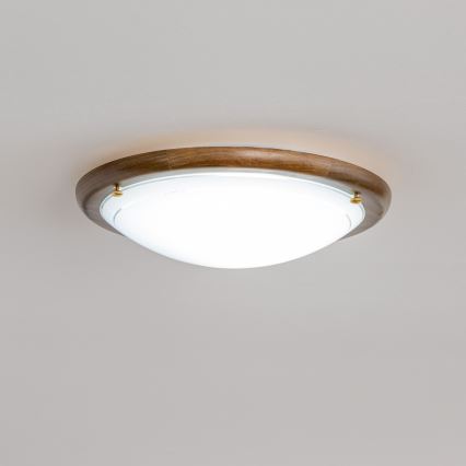 Rabalux - Mennyezeti lámpa 1xE27/60W/230V átm. 30 cm