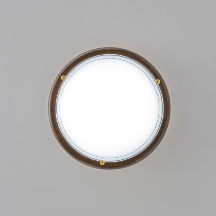 Rabalux - Mennyezeti lámpa 1xE27/60W/230V átm. 30 cm