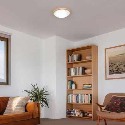 Rabalux - Mennyezeti lámpa 2xE27/60W/230V átm. 38 cm