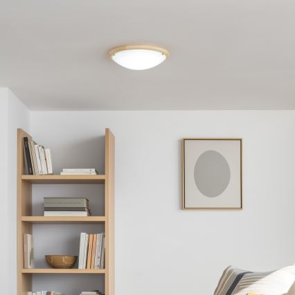 Rabalux - Mennyezeti lámpa 2xE27/60W/230V átm. 38 cm