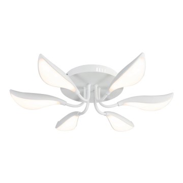 Rabalux 6000 - LED Mennyezeti lámpa MAGNOLIA LED/48W/230V