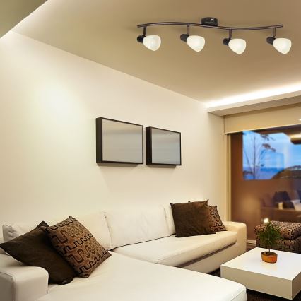 Rabalux - Spotlámpa 4xE14/40W/230V