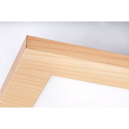 Rabalux - LED Felületre szerelhető panel LED/12W/230V 4000K