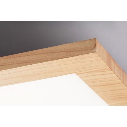 Rabalux - LED Felületre szerelhető panel LED/40W/230V 4000K