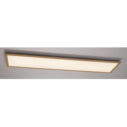 Rabalux - LED Felületre szerelhető panel LED/40W/230V 4000K