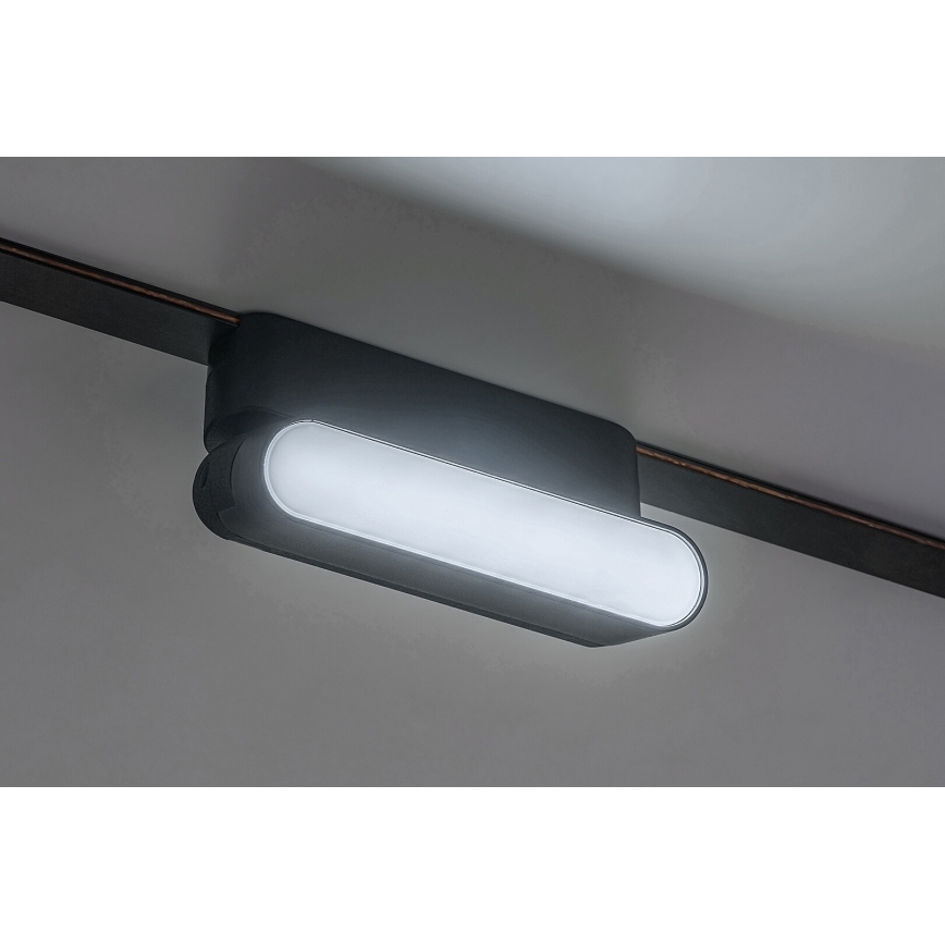 Rabalux - LED Dimmelhető mennyezeti lámpa 1 fázisú sínrendszerhez LED/4W/24V 2700-5500K Wi-Fi Tuya 11,5 cm fekete
