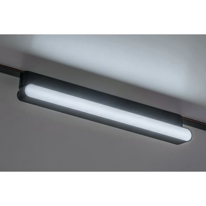 Rabalux - LED Dimmelhető mennyezeti lámpa 1 fázisú sínrendszerhez LED/13W/24V 2700-5500K Wi-Fi Tuya 33 cm fekete