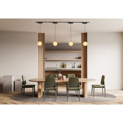 Rabalux - LED dimmelhető csillár zsinóron 1-fázisú sínrendszerhez LED/5W/24V 2700-5500K Wi-Fi Tuya fekete