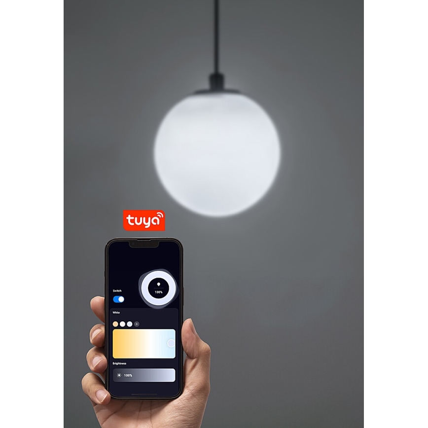 Rabalux - LED dimmelhető csillár zsinóron 1-fázisú sínrendszerhez LED/5W/24V 2700-5500K Wi-Fi Tuya fekete