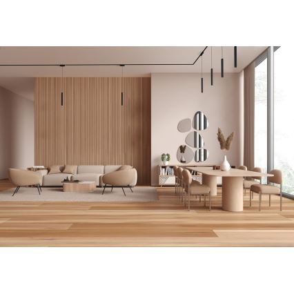 Rabalux - LED dimmelhető csillár zsinóron 1-fázisú sínrendszerhez LED/5W/24V 2700-5500K Wi-Fi Tuya fekete