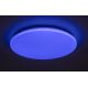 Rabalux - LED RGB Dimmelhető mennyezeti lámpa LED/24W/230V Wi-Fi Tuya 3000-6500K 31 cm