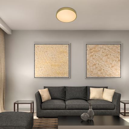 Rabalux - LED mennyezeti lámpa LED/36W/230V 3000K átm. 40 cm