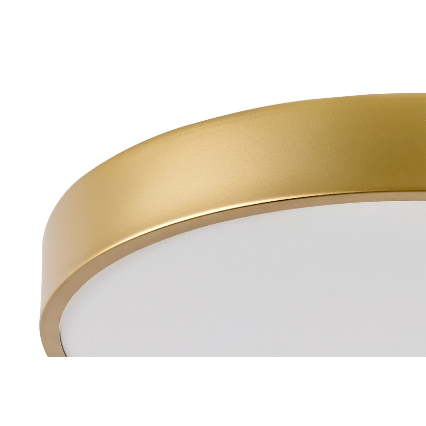 Rabalux - LED mennyezeti lámpa LED/36W/230V 3000K átm. 40 cm