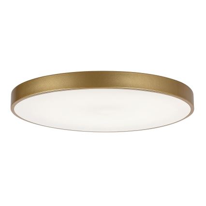 Rabalux - Fényerőszabályozható LED mennyezeti lámpa LED/60W/230V 3000-6000K + távirányító Ø 60 cm