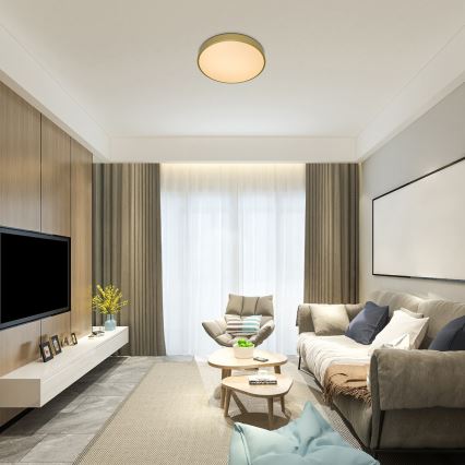 Rabalux - Fényerőszabályozható LED mennyezeti lámpa LED/60W/230V 3000-6000K + távirányító Ø 60 cm