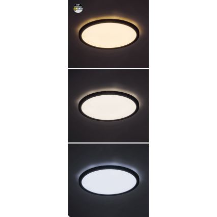 Rabalux - LED mennyezeti lámpa LED/24W/230V 3000/4000/6000K átmérő 29 cm fekete
