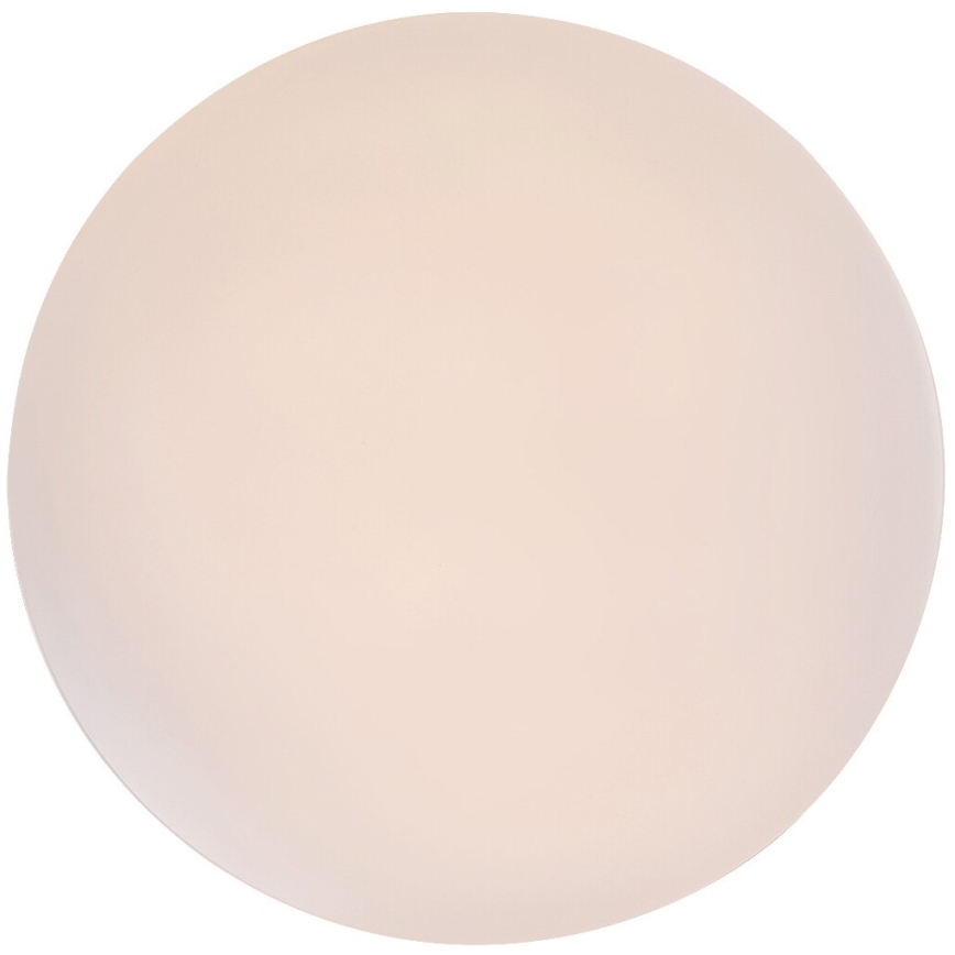 Rabalux - LED mennyezeti lámpa LED/12W/230V 3000K átm. 25,5 cm