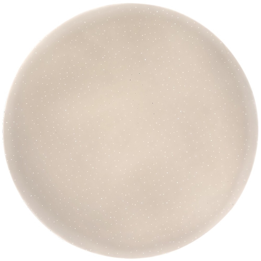 Rabalux - LED mennyezeti lámpa LED/12W/230V 4000K átm. 25,5 cm