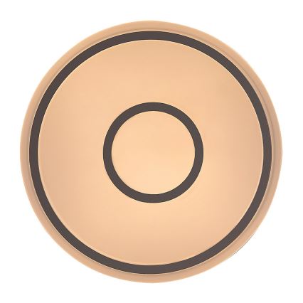 Rabalux - LED mennyezeti lámpa LED/25W/230V 3000K átm. 38 cm