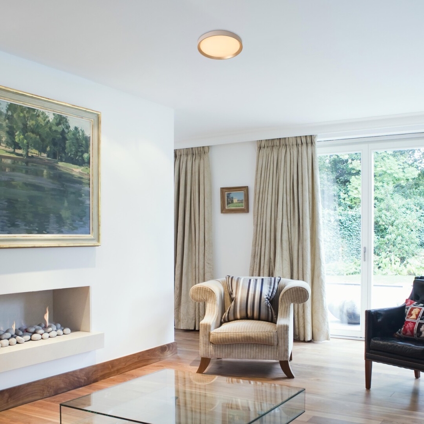 Rabalux - LED mennyezeti lámpa LED/25W/230V 3000K átm. 38 cm