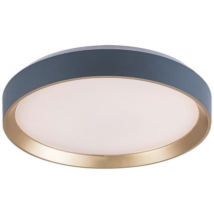 Rabalux - LED mennyezeti lámpa LED/25W/230V 3000K átm. 38 cm