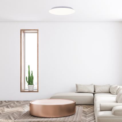 Rabalux - LED mennyezeti lámpatest LED/18W/230V 4000K átm. 28 cm