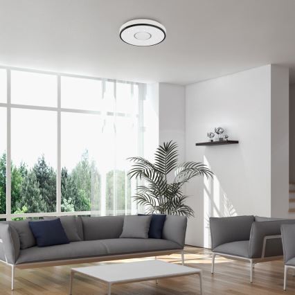 Rabalux - LED Mennyezeti lámpa LED/24W/230V 4000K átm. 39 cm