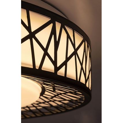 Rabalux - Dimmelhető mennyezeti LED lámpatest LED/48W/230V 3000-6500K + távirányító, átmérő 49 cm