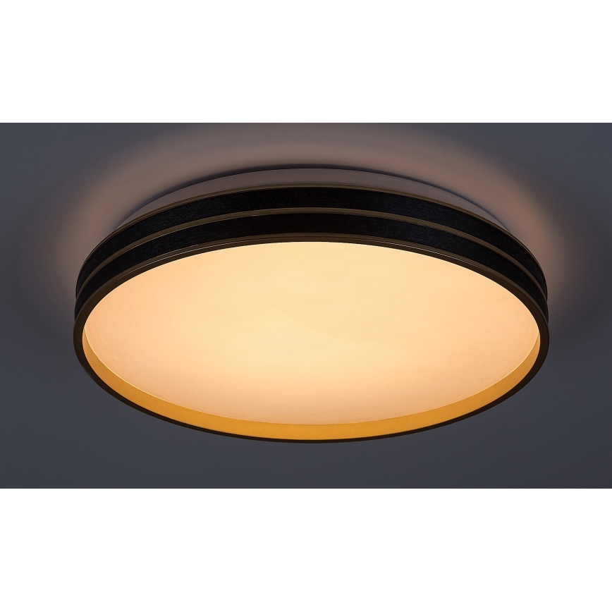 Rabalux - Dimmelhető LED mennyezeti lámpa LED/24W/230V 3000-6500K átm. 39 cm + távirányító