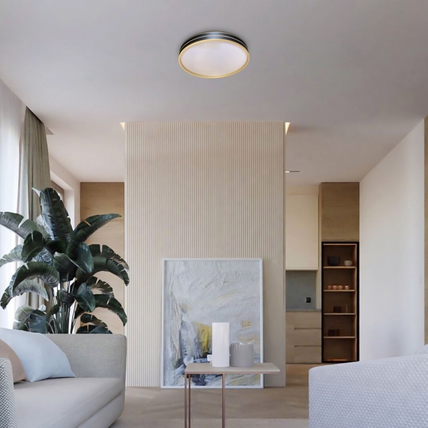 Rabalux - Dimmelhető LED mennyezeti lámpa LED/24W/230V 3000-6500K átm. 39 cm + távirányító