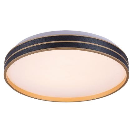 Rabalux - Dimmelhető LED mennyezeti lámpa LED/24W/230V 3000-6500K átm. 39 cm + távirányító