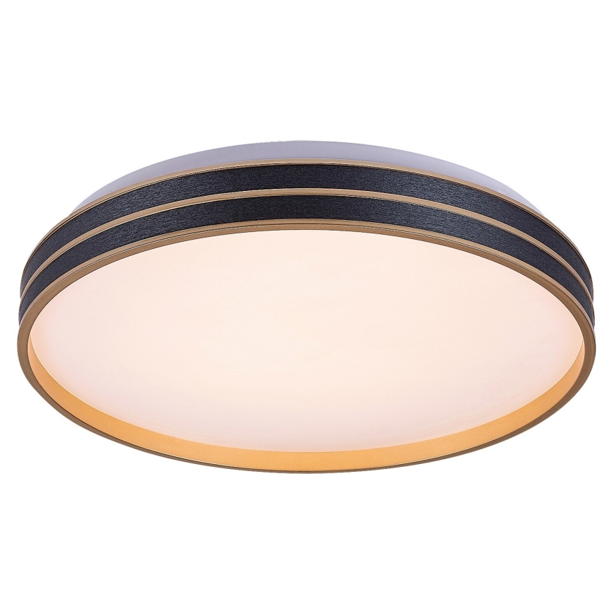 Rabalux - Dimmelhető LED mennyezeti lámpa LED/24W/230V 3000-6500K átm. 39 cm + távirányító