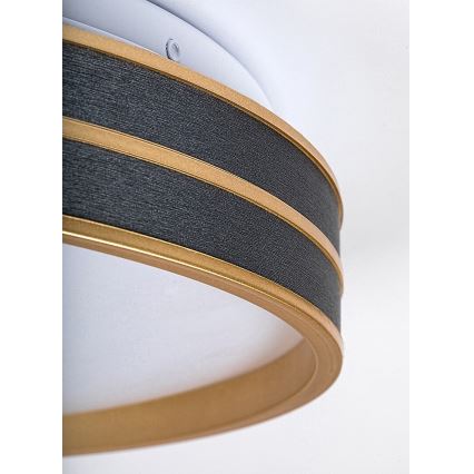 Rabalux - Dimmelhető LED mennyezeti lámpa LED/24W/230V 3000-6500K átm. 39 cm + távirányító