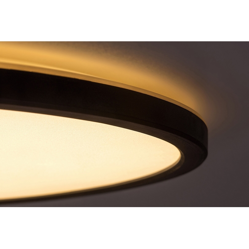 Rabalux - LED Dimmelhető mennyezeti lámpa LED/15W/230V 3000K 24 cm