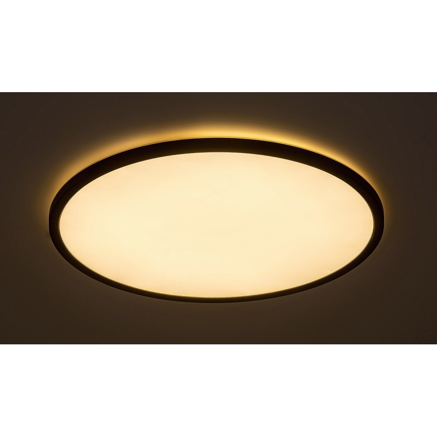 Rabalux - LED Dimmelhető mennyezeti lámpa LED/22W/230V 3000K 42 cm
