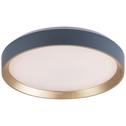 Rabalux - LED Mennyezeti lámpa LED/25W/230V 3000K átm. 38 cm