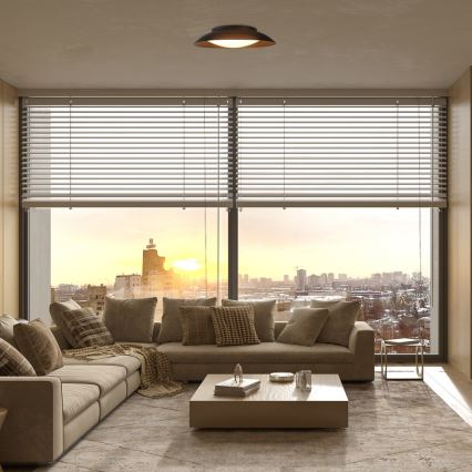 Rabalux - LED Mennyezeti lámpa LED/20W/230V 3000K átm. 30 cm