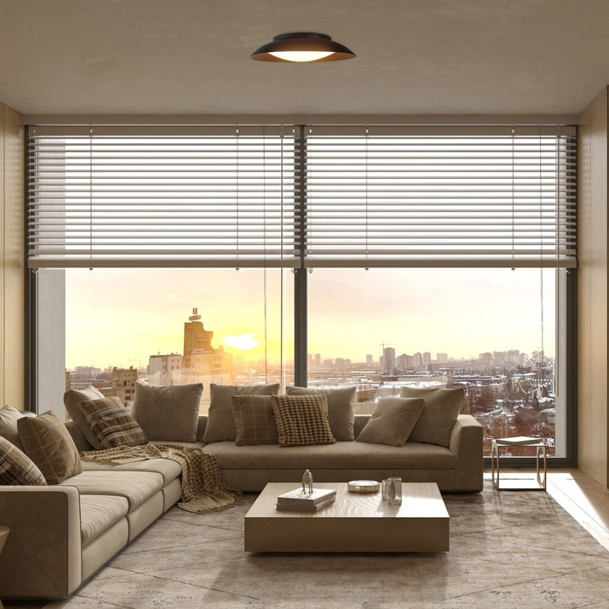 Rabalux - LED Mennyezeti lámpa LED/20W/230V 3000K átm. 30 cm