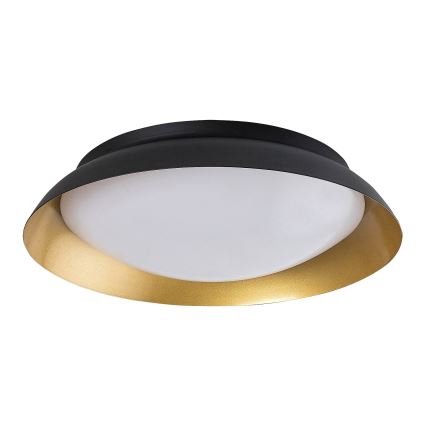 Rabalux - LED Mennyezeti lámpa LED/20W/230V 3000K átm. 30 cm