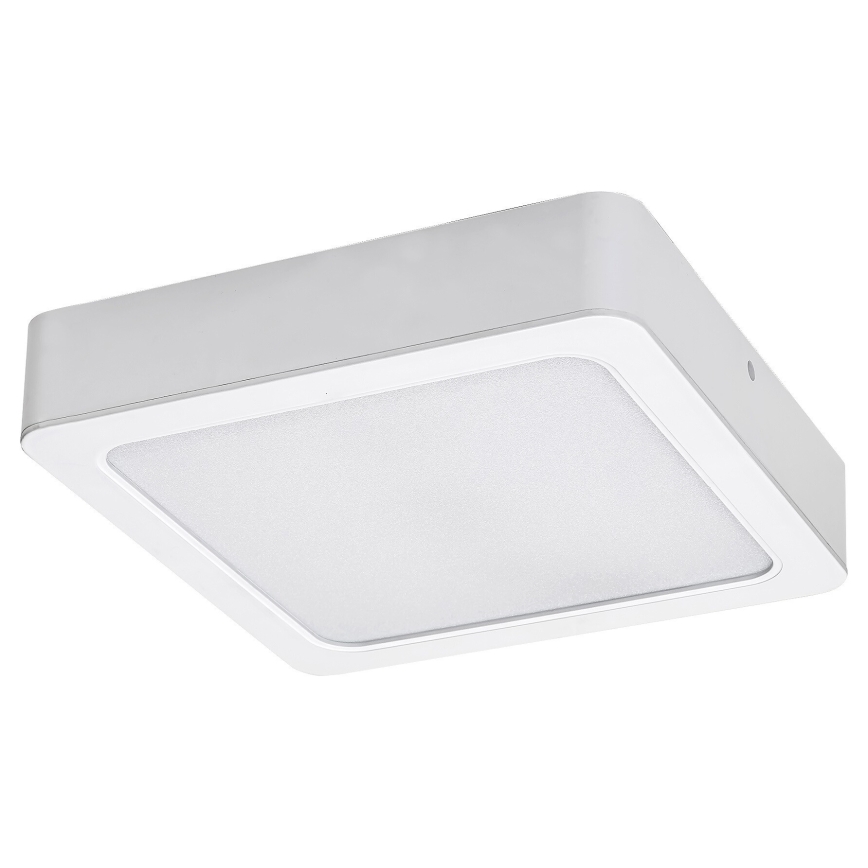 Rabalux - LED Mennyezeti lámpa LED/24W/230V 4000K 22x22 cm fehér
