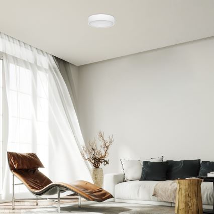 Rabalux - LED mennyezeti lámpa LED/22W/230V 3000/4000/6000K átm. 21 cm fehér