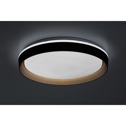 Rabalux - LED Dimmelhető mennyezeti lámpa LED/48W/230V 3000-6500K + távirányítás