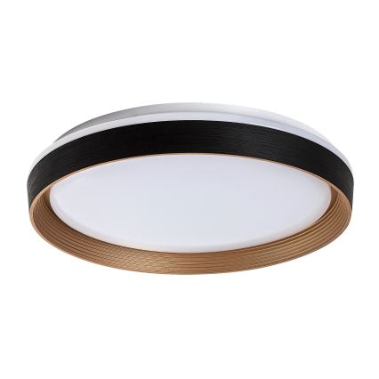 Rabalux - LED Dimmelhető mennyezeti lámpa LED/48W/230V 3000-6500K + távirányítás