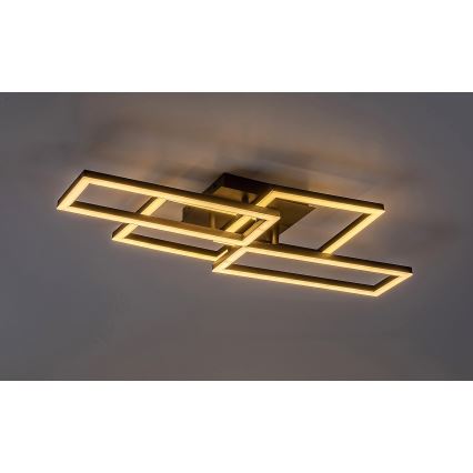 Rabalux - LED dimmelhető mennyezeti lámpa LED/40W/230V 3000-6500K 35x70 cm + távirányító