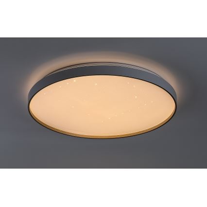 Rabalux - LED dimmelhető mennyezeti lámpa LED/60W/230V 3000-6500K átm. 58 cm + távirányító